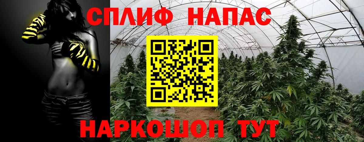 Усть-Джегута  Бошки марихуана VHQ  Бошки Шишки SATIVA & INDICA  Бошки марихуана AK-47  Вход с VPN 